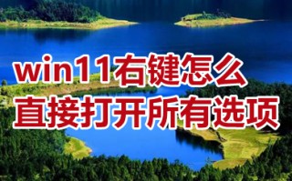 win11右键怎么直接打开所有选项 win11右键设置直接打开所有选项的方法