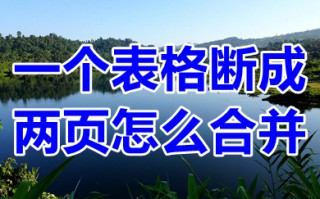 一个表格断成两页怎么合并 一个表格太大分到两页咋办