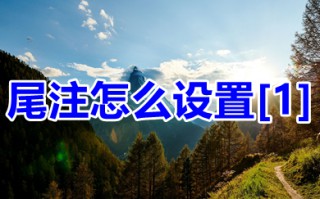 尾注怎么设置[1] word尾注设置[1]的详细教程