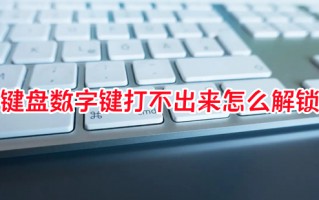 键盘数字键打不出来怎么解锁 电脑数字键用不了应该按哪个键恢复