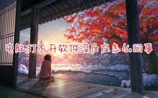 电脑打不开软件没反应怎么回事 电脑软件打不开怎么办