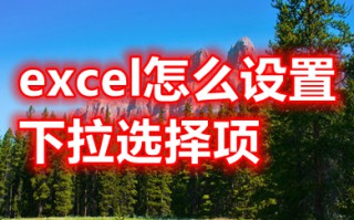 excel怎么设置下拉选择项 excel设置下拉选择项的操作方法