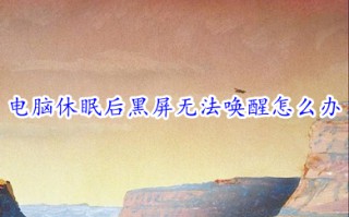 电脑休眠后黑屏无法唤醒怎么办 电脑休眠后黑屏无法唤醒的原因及解决方法
