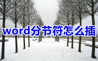 word分节符怎么插 word分节符怎么加入