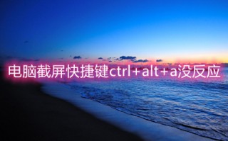 电脑截屏快捷键ctrl+alt+a没反应 具体的解决方法介绍