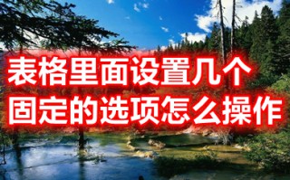 表格里面设置几个固定的选项 excel表格设置几个固定的选项的方法介绍