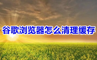 谷歌浏览器怎么清理缓存 谷歌浏览器缓存清理怎么弄