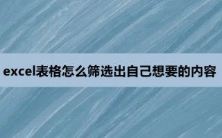 excel表格怎么筛选出自己想要的内容 excel表格怎么筛选出符合条件的数据