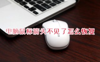 电脑鼠标箭头不见了怎么恢复 屏幕上看不到鼠标箭头怎么办
