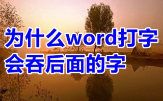 word表格中文字怎么上下居中 word表格中文字居中怎么弄正中间