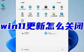 win11更新怎么关闭 win11强制更新怎么取消